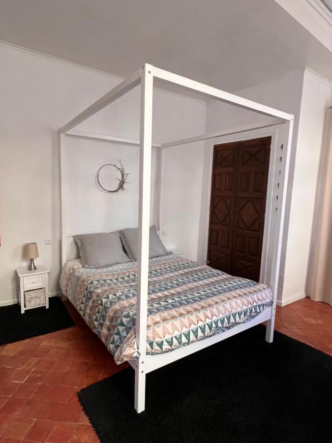 Perpignan Appartement En Plein Centre Historique Exteriér fotografie